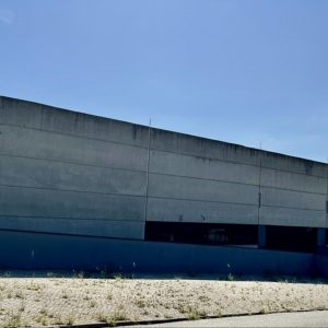 WhatsApp Image 2025-10-17 at 16.25.37